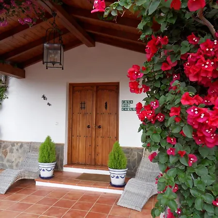 Bed&Breakfast | Guest House Casa Don Carlos-3